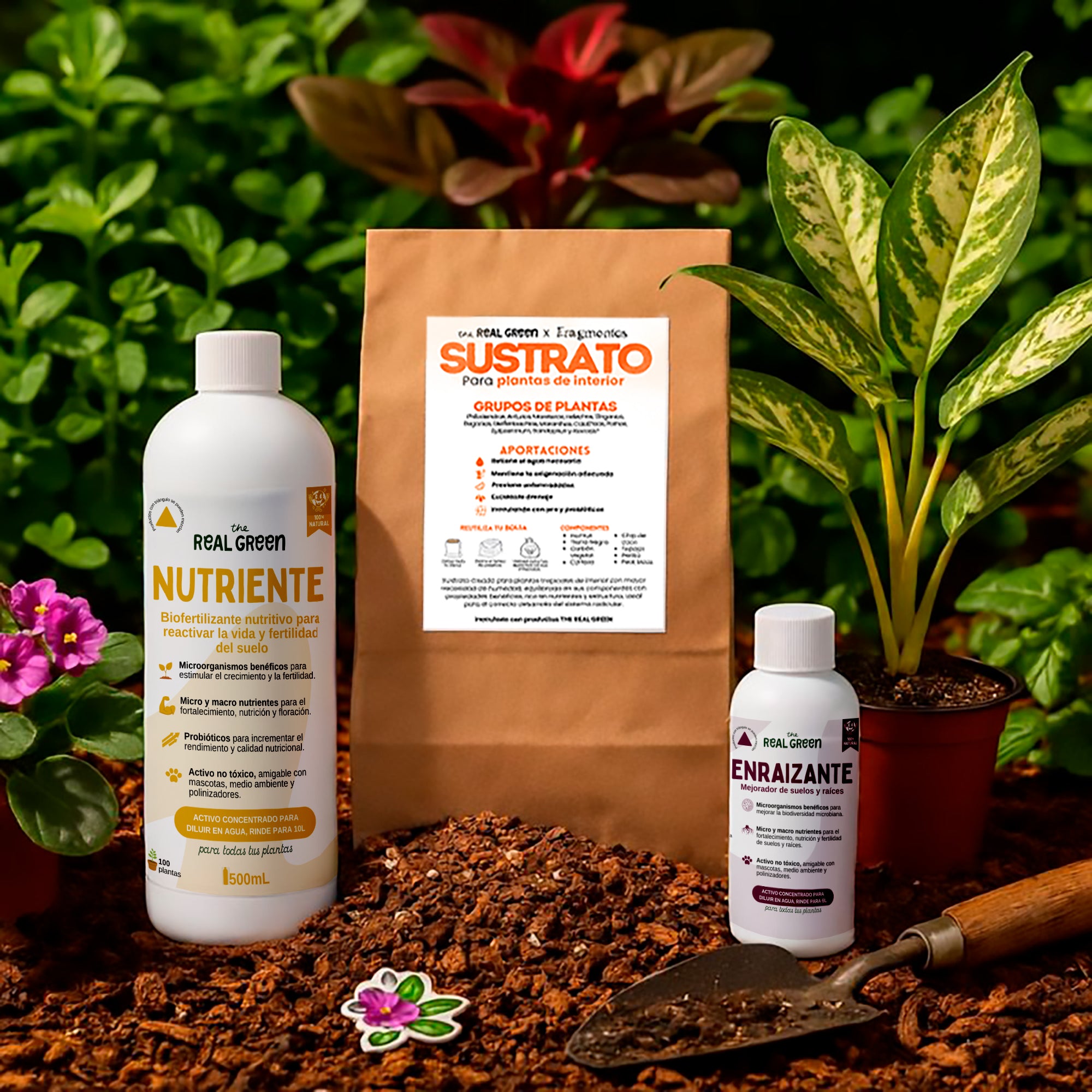 Kit para principiantes