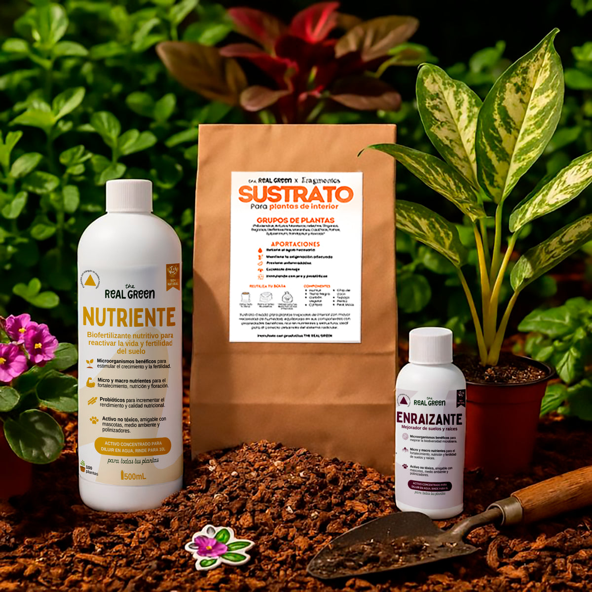 Kit para principiantes