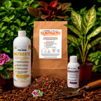 Kit para principiantes
