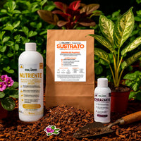 Kit para principiantes