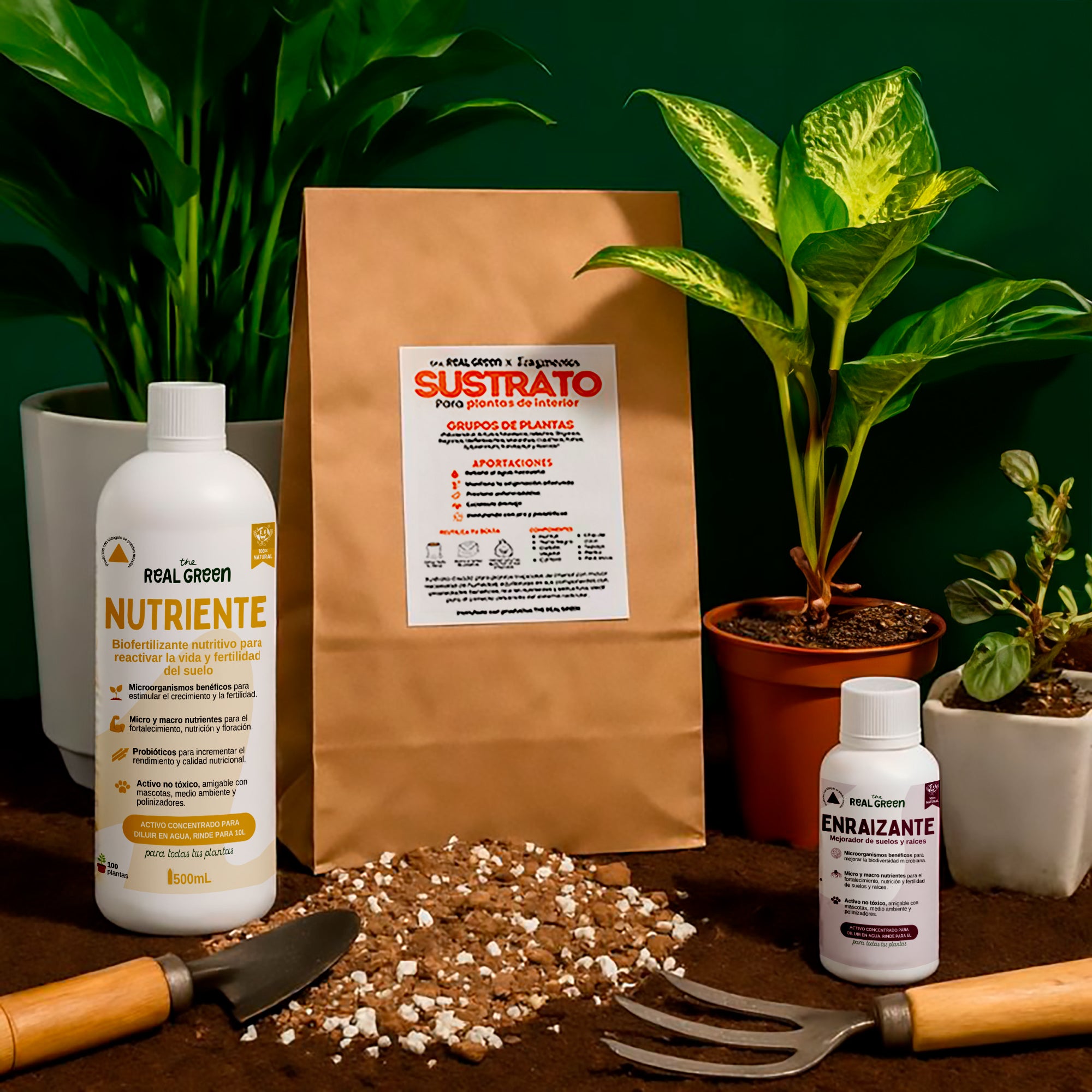 Kit para principiantes