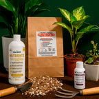 Kit para principiantes