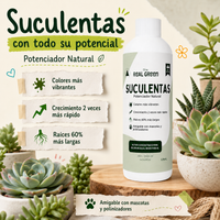 Enraizante para cactáceas y suculentas