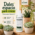 Enraizante para cactáceas y suculentas