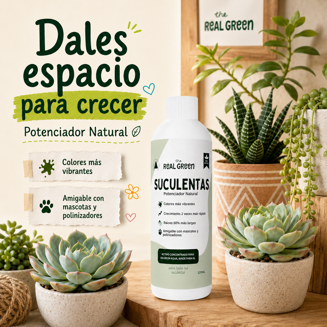 Enraizante para cactáceas y suculentas