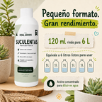Enraizante para cactáceas y suculentas