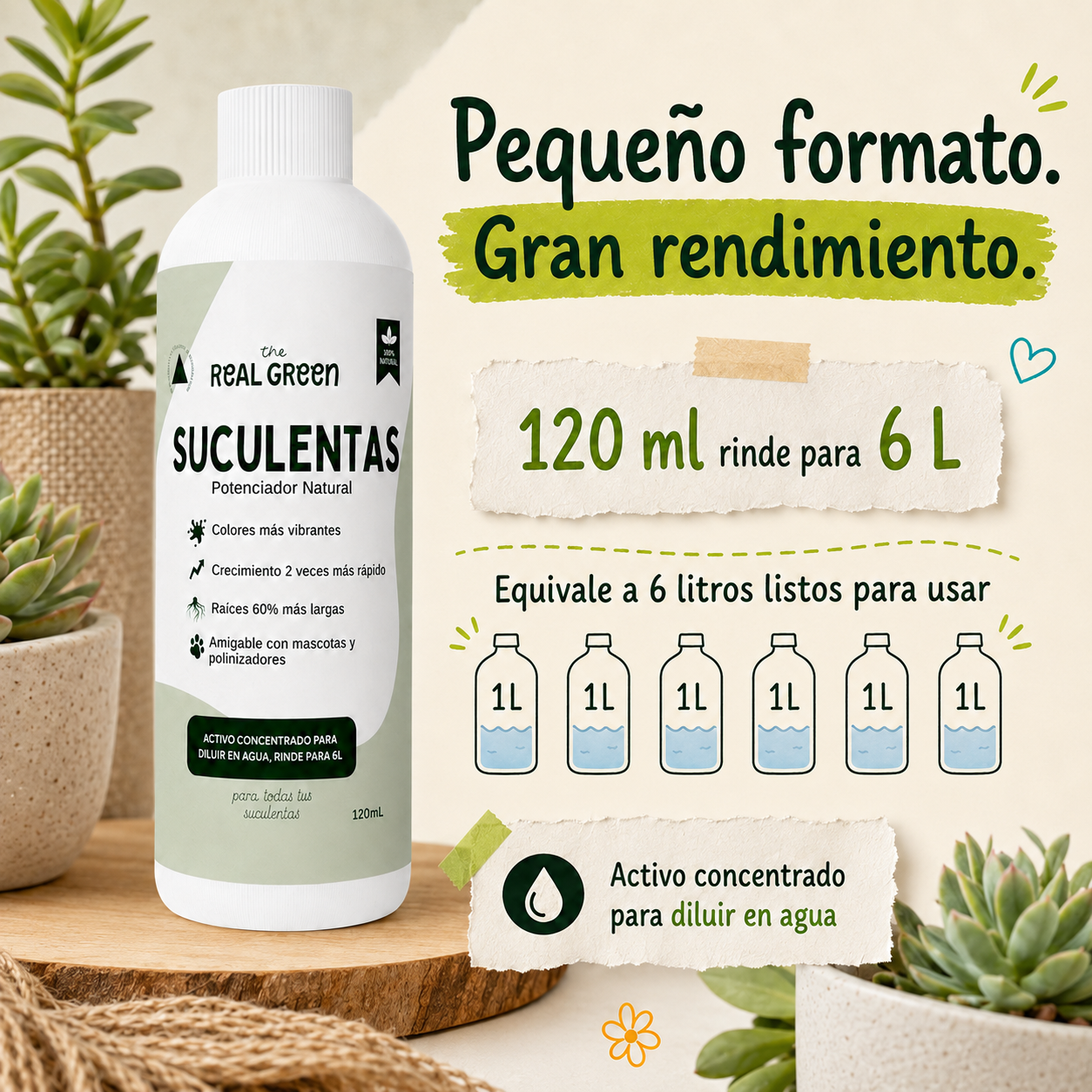 Enraizante para cactáceas y suculentas