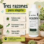 Enraizante para cactáceas y suculentas