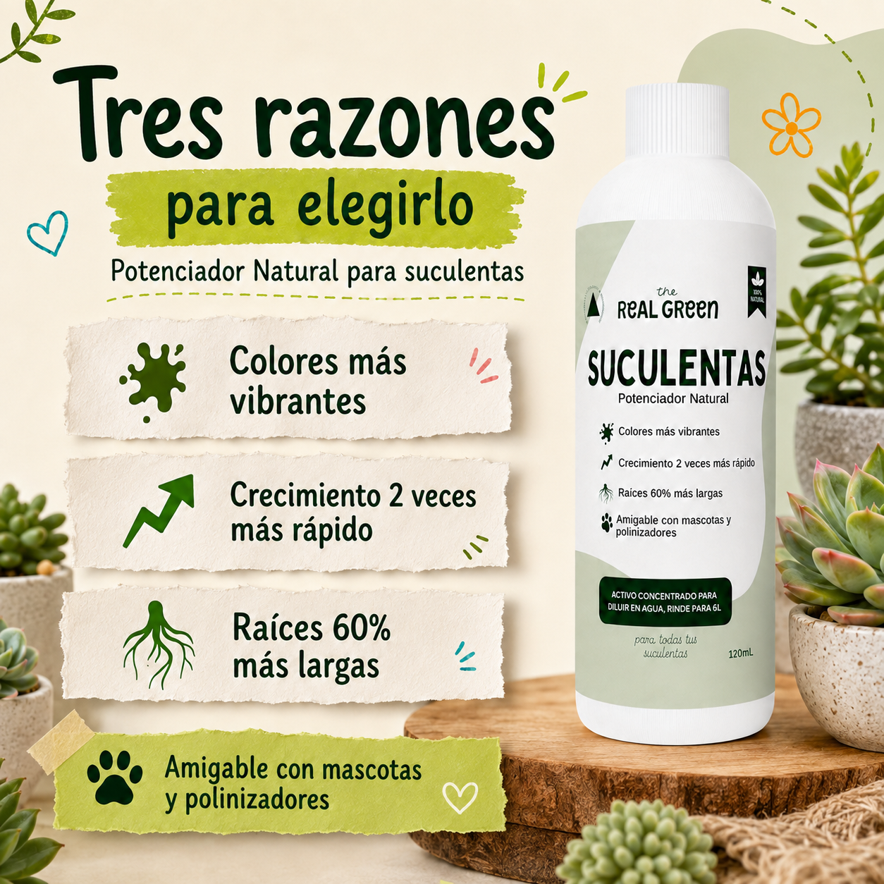 Enraizante para cactáceas y suculentas