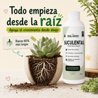 Enraizante para cactáceas y suculentas