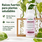 Enraizante y mejorador de suelos Concentrado