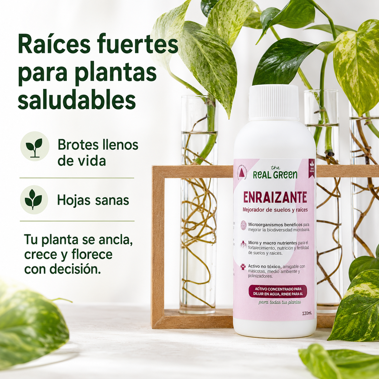Enraizante y mejorador de suelos Concentrado