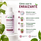 Enraizante y mejorador de suelos Concentrado