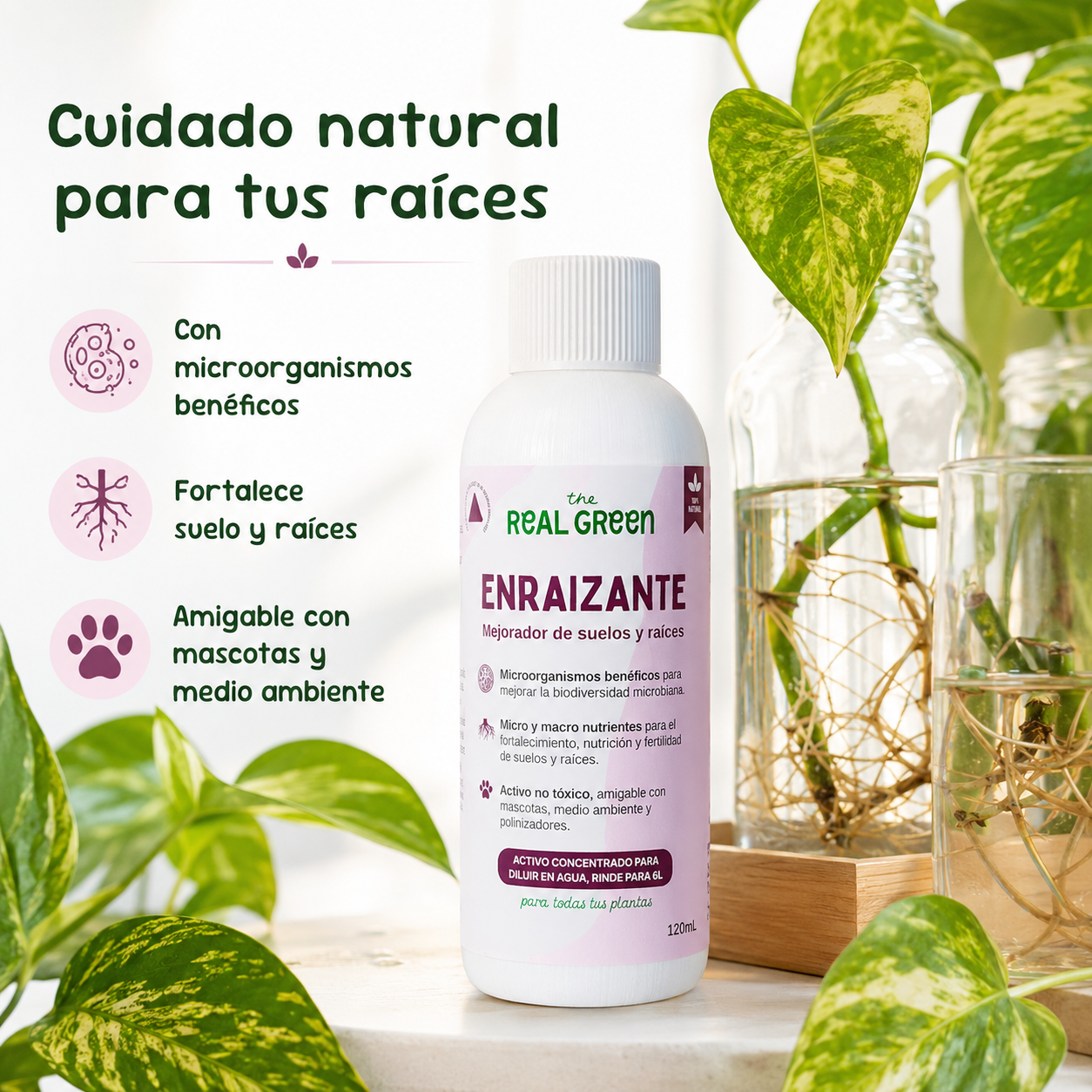 Enraizante y mejorador de suelos Concentrado