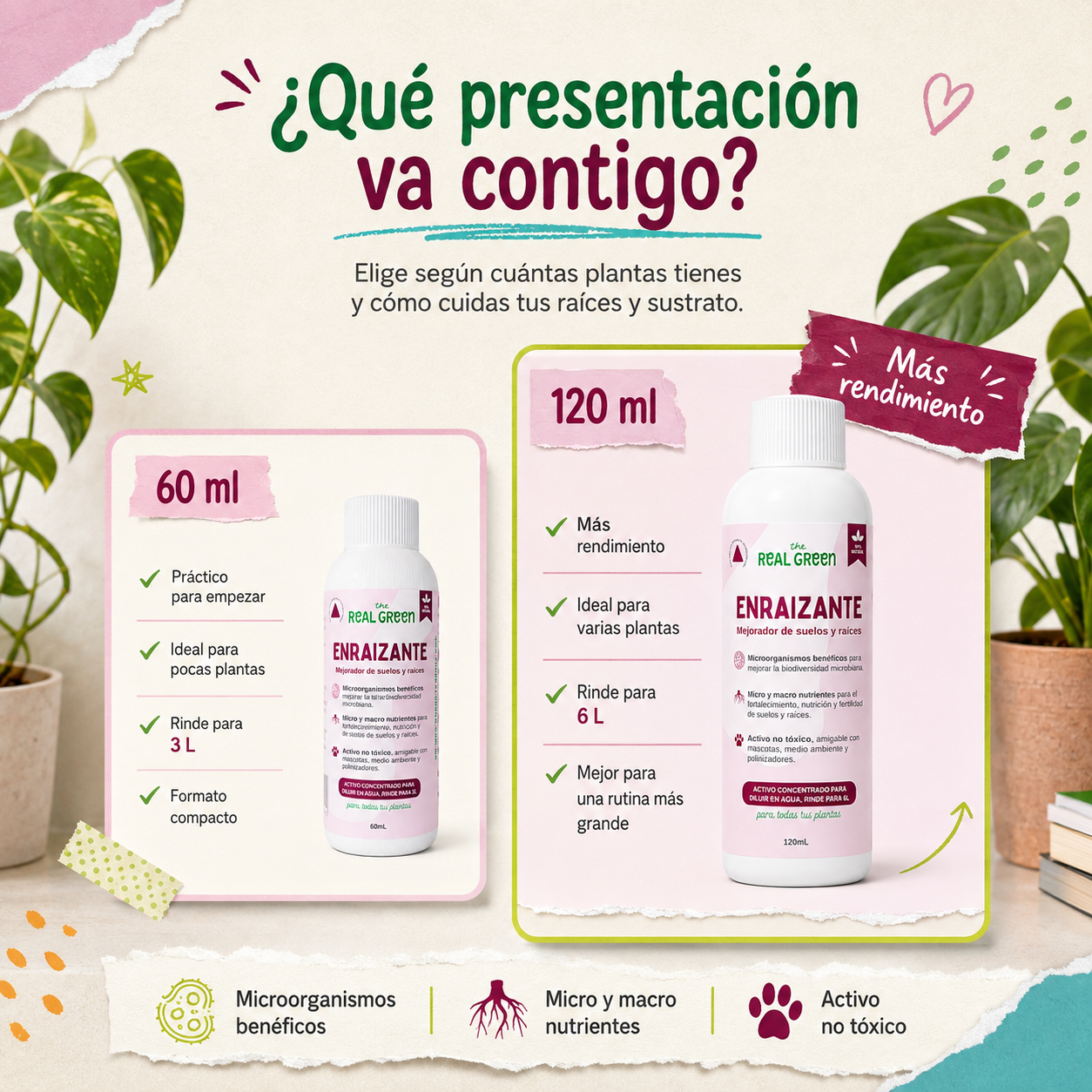 Enraizante y mejorador de suelos Concentrado