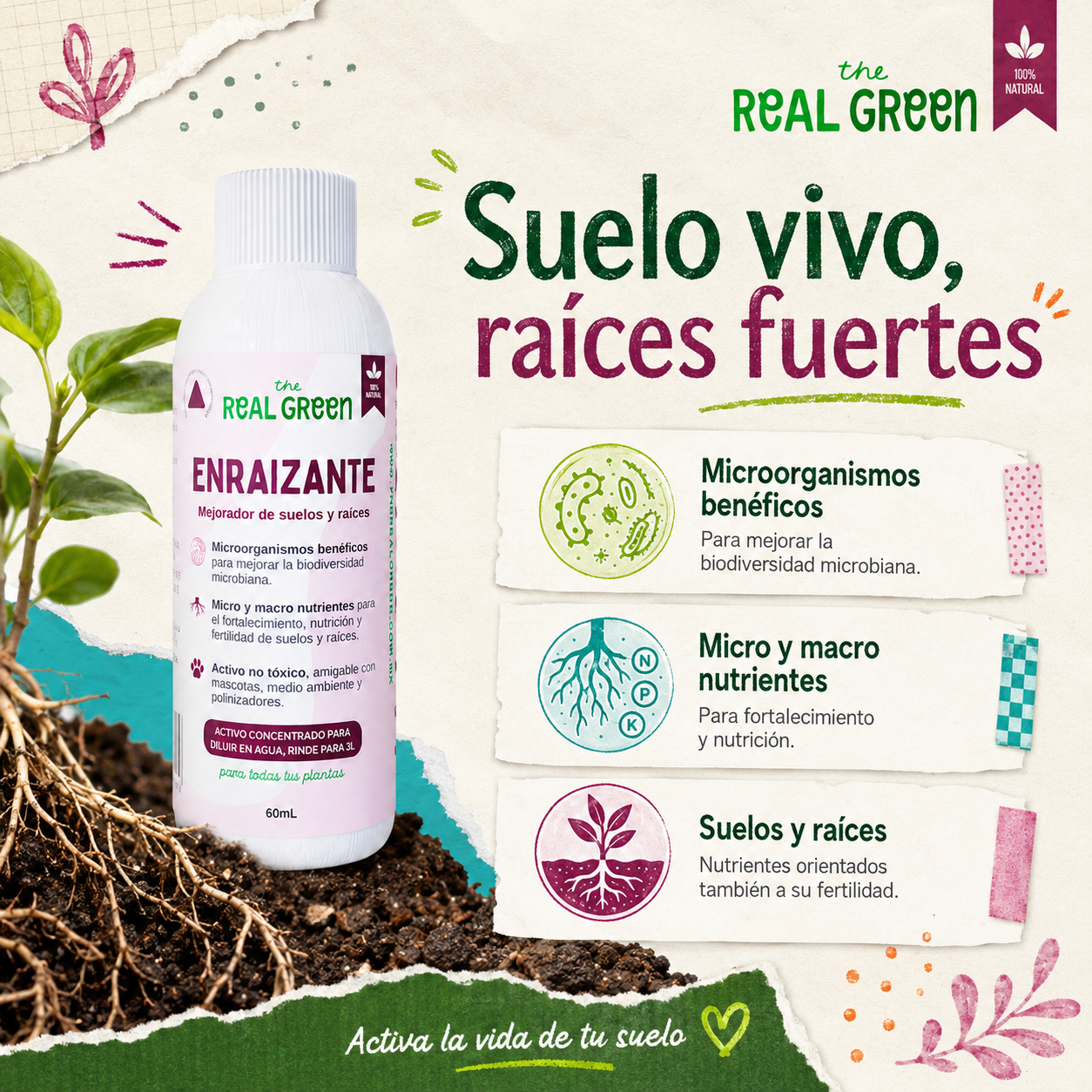 Enraizante y mejorador de suelos Concentrado