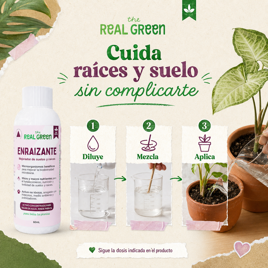 Enraizante y mejorador de suelos Concentrado
