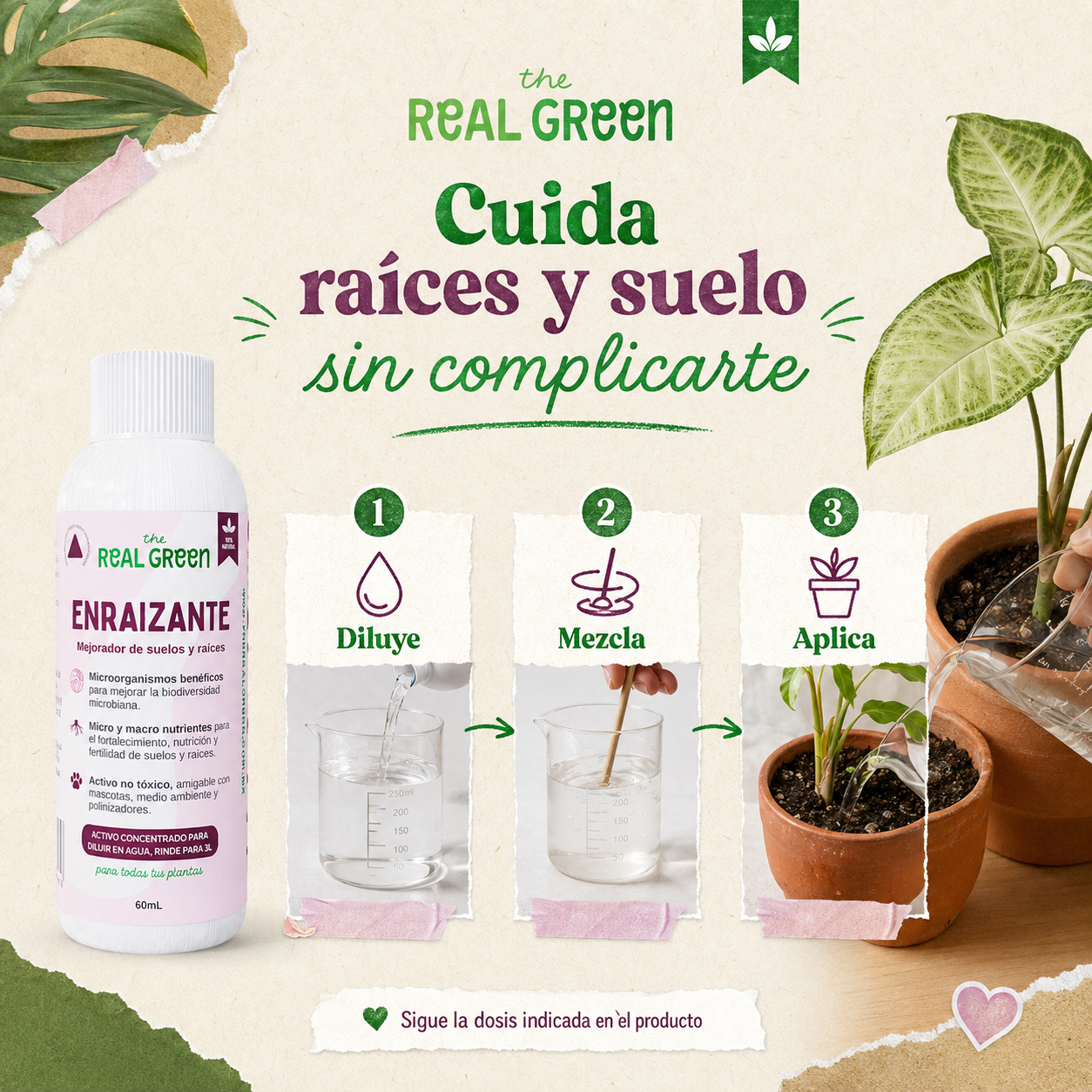 Enraizante y mejorador de suelos Concentrado