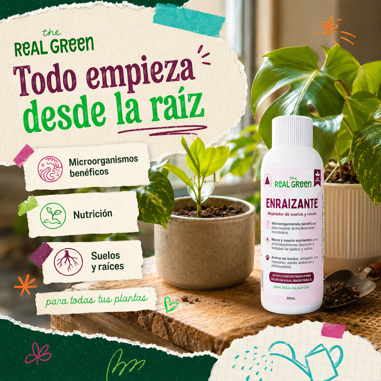 Enraizante y mejorador de suelos Concentrado