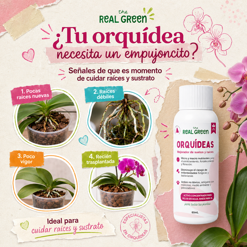 Enraizante para orquídeas Concentrado