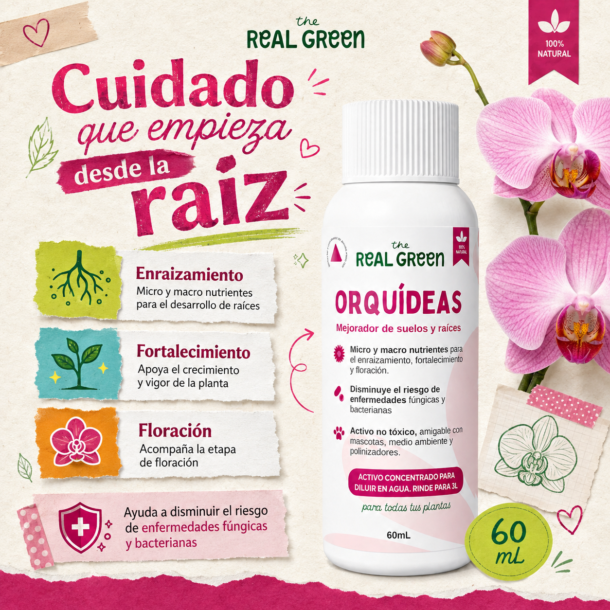 Enraizante para orquídeas Concentrado