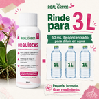 Enraizante para orquídeas Concentrado