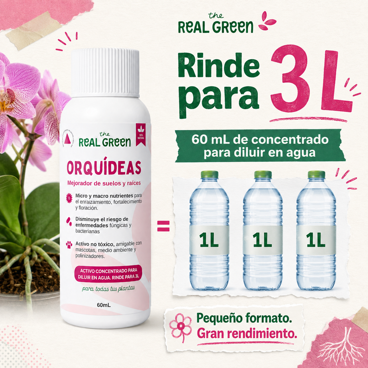 Enraizante para orquídeas Concentrado