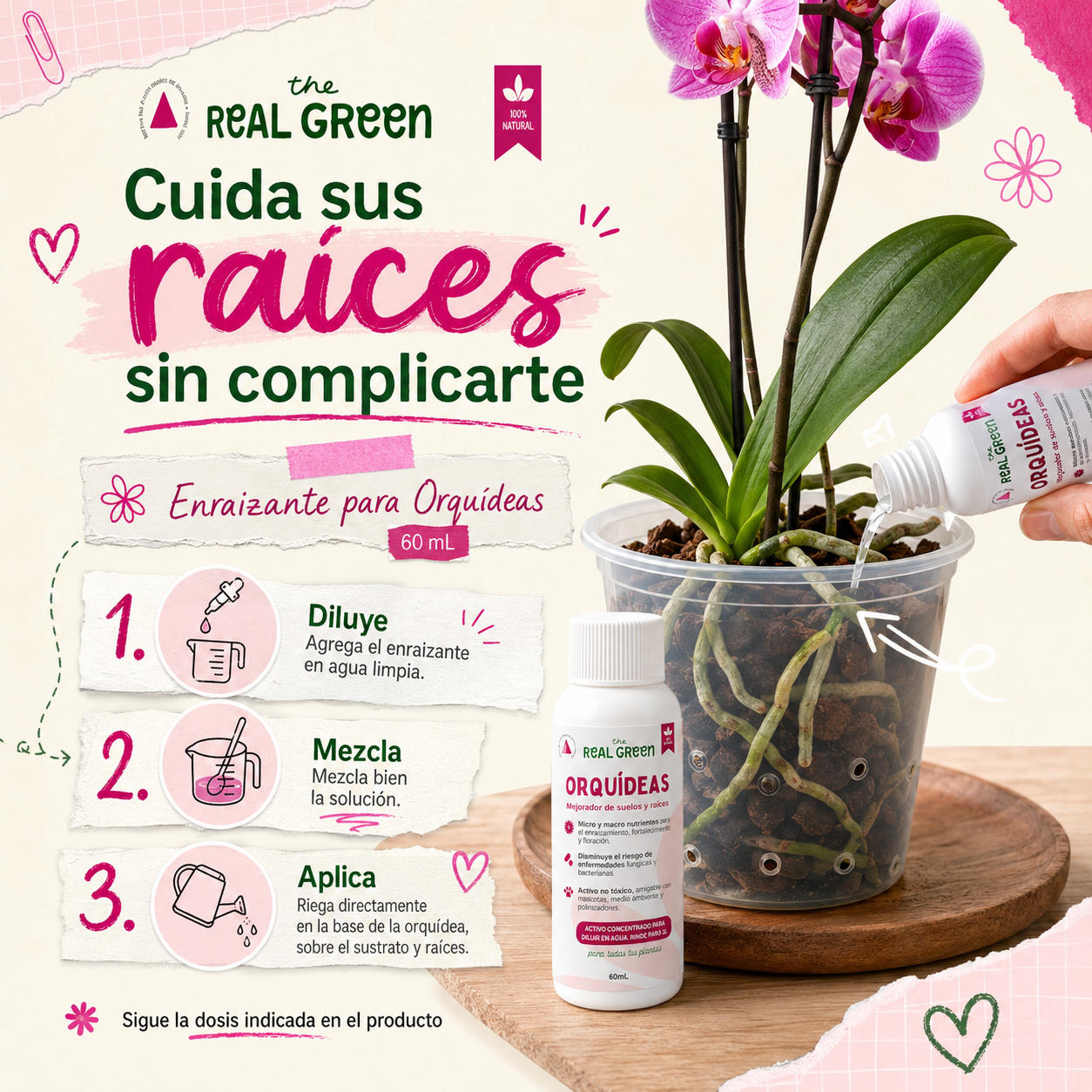 Enraizante para orquídeas Concentrado