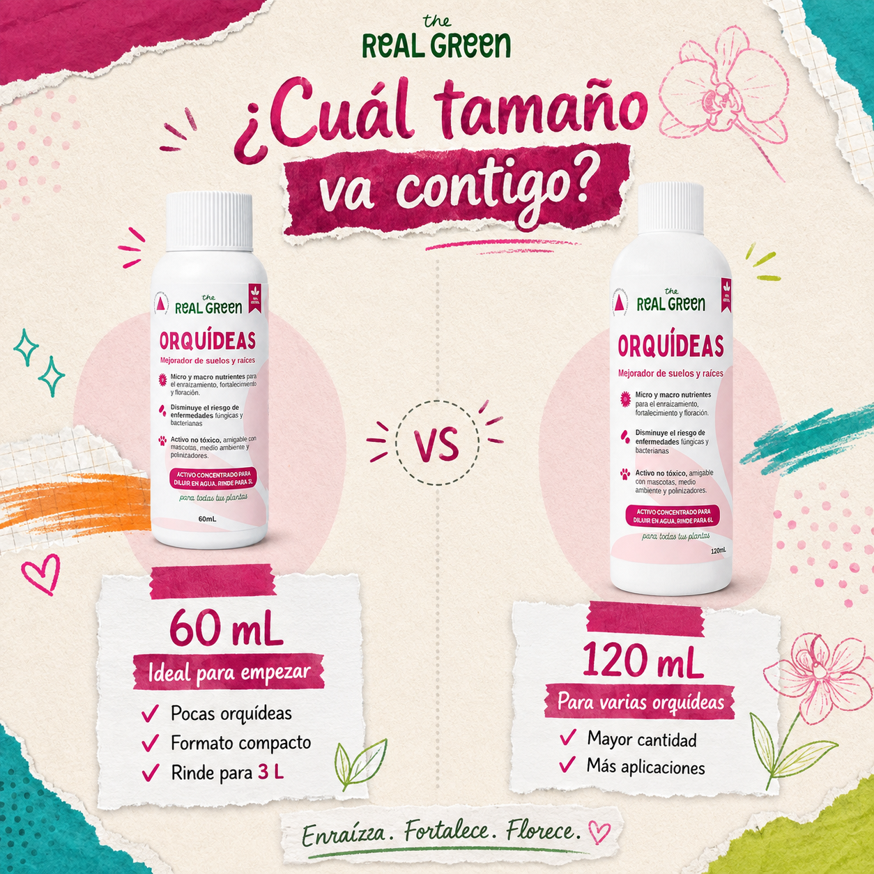 Enraizante para orquídeas Concentrado