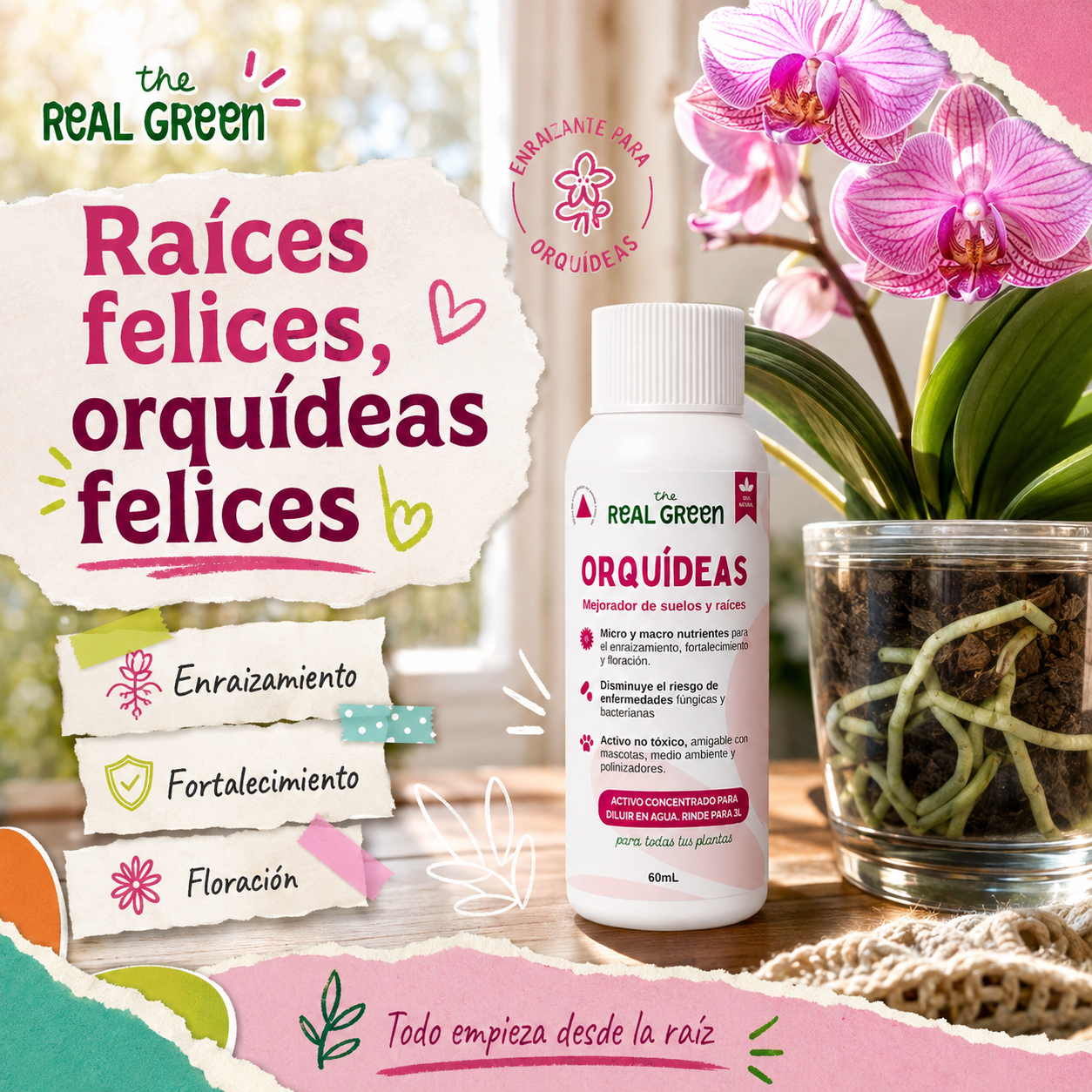 Enraizante para orquídeas Concentrado