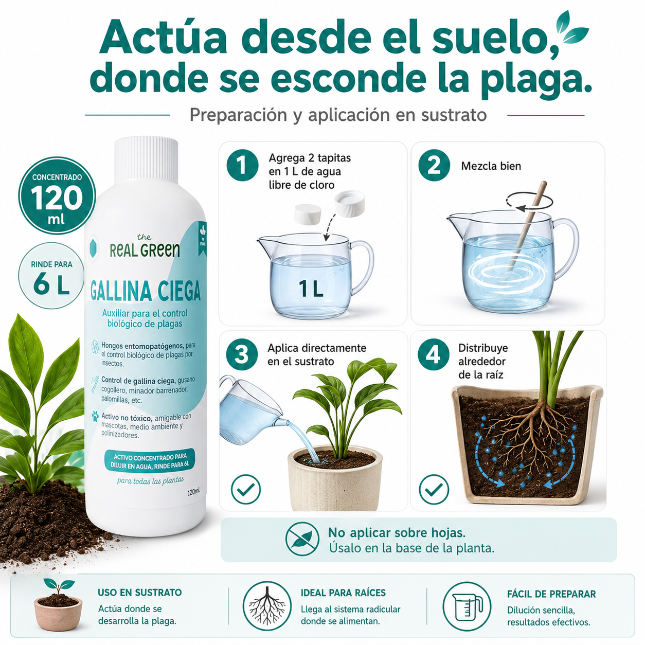 Auxiliar para el control de gallina ciega