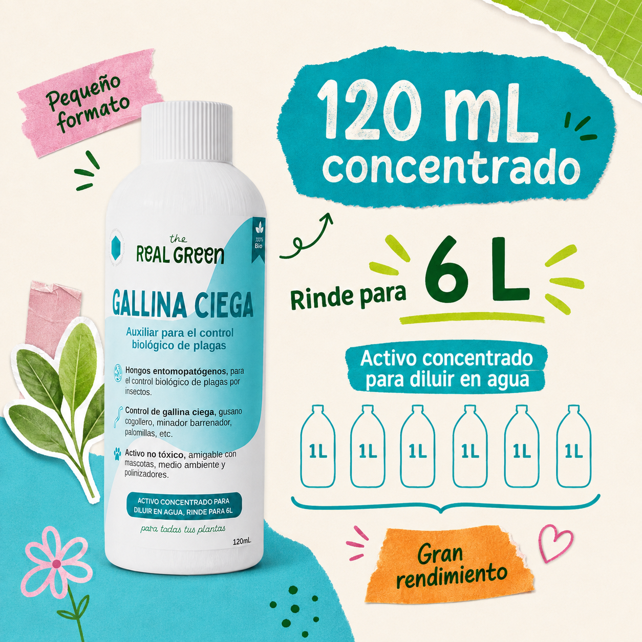 Auxiliar para el control de gallina ciega