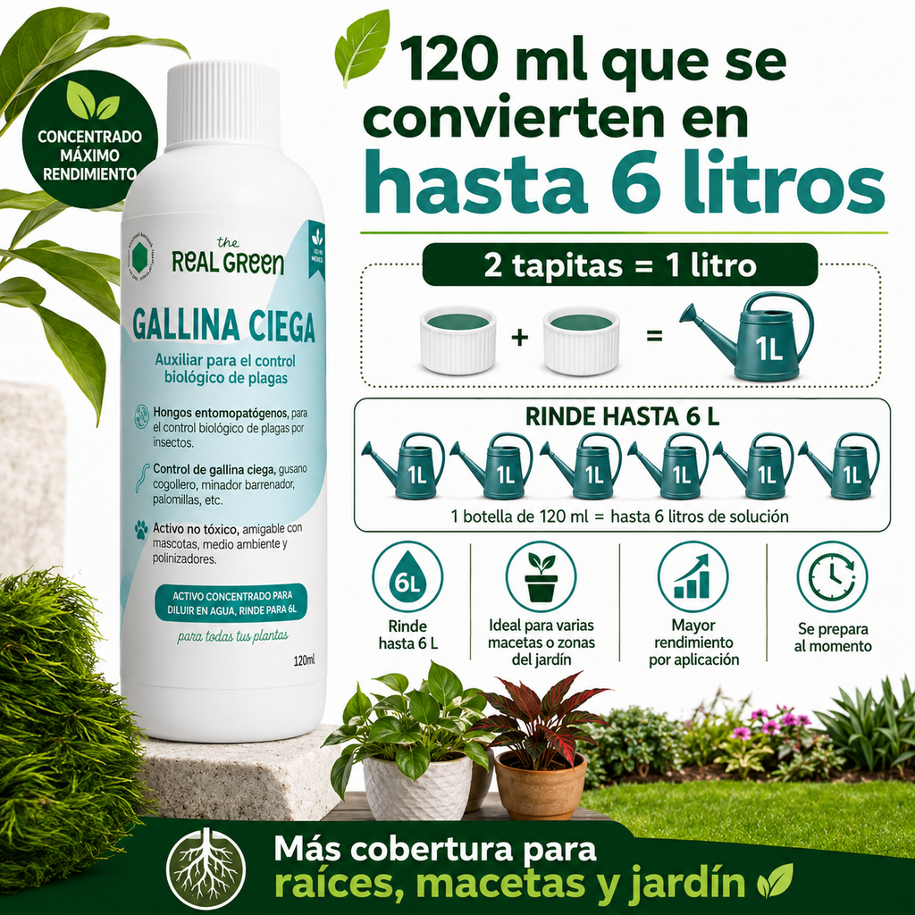 Auxiliar para el control de gallina ciega