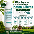 Auxiliar para el control de gallina ciega