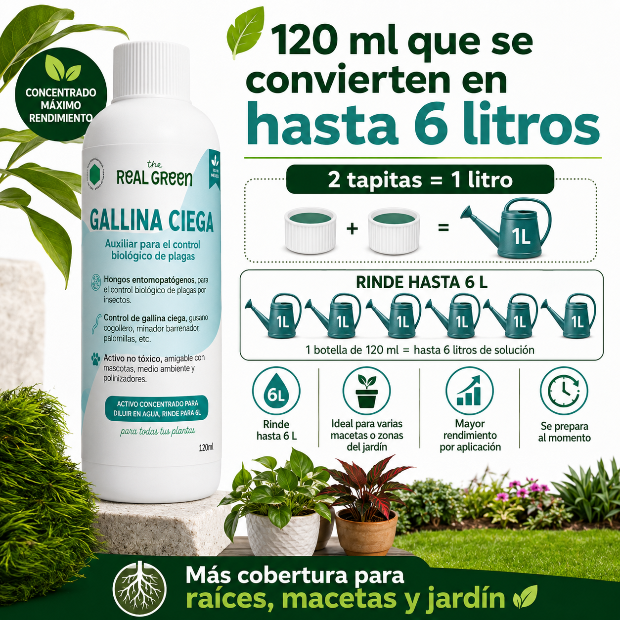 Auxiliar para el control de gallina ciega