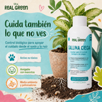 Auxiliar para el control de gallina ciega