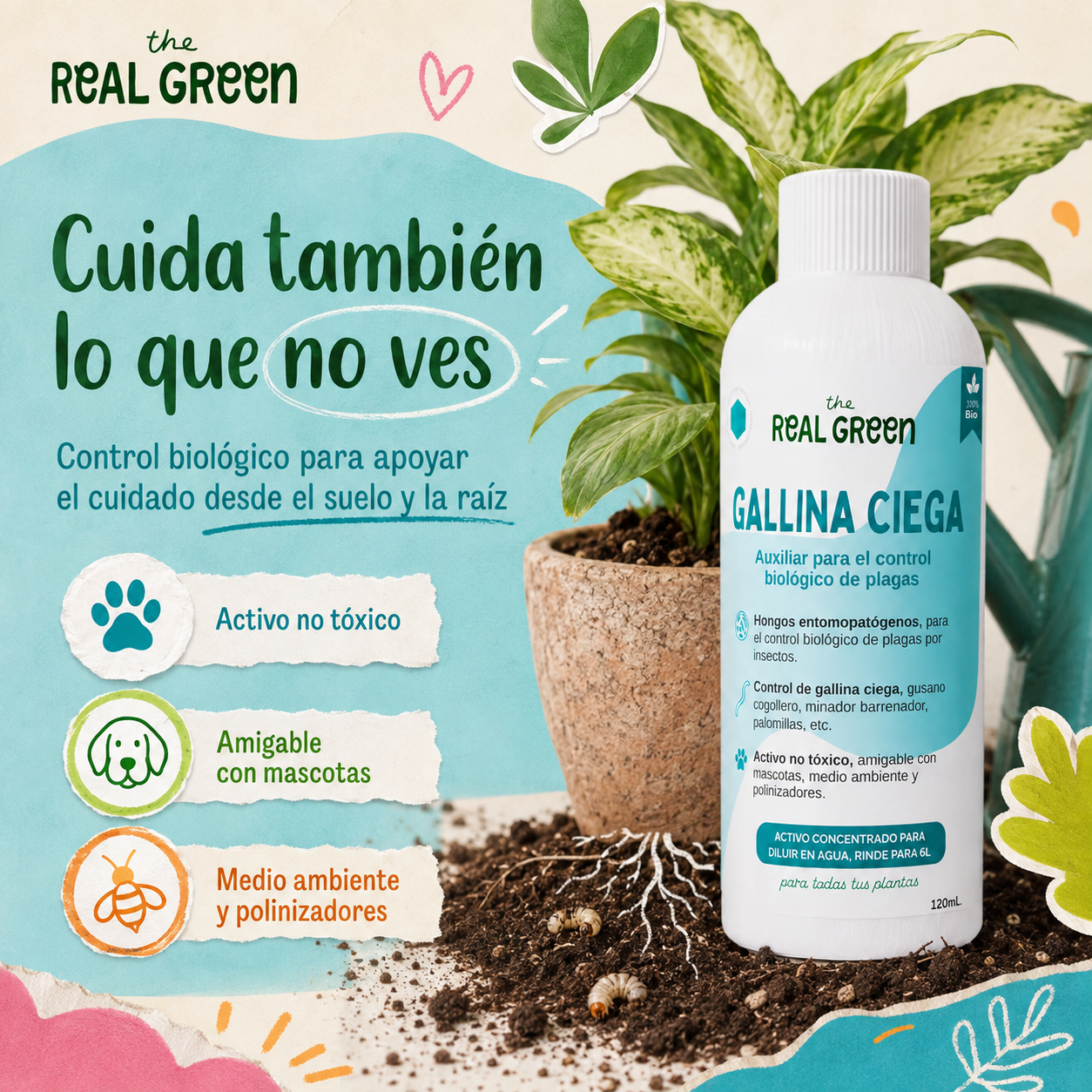 Auxiliar para el control de gallina ciega