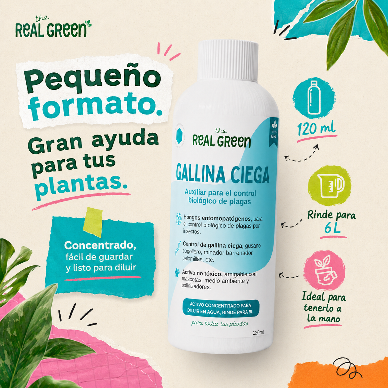 Auxiliar para el control de gallina ciega
