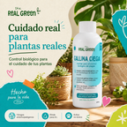 Auxiliar para el control de gallina ciega