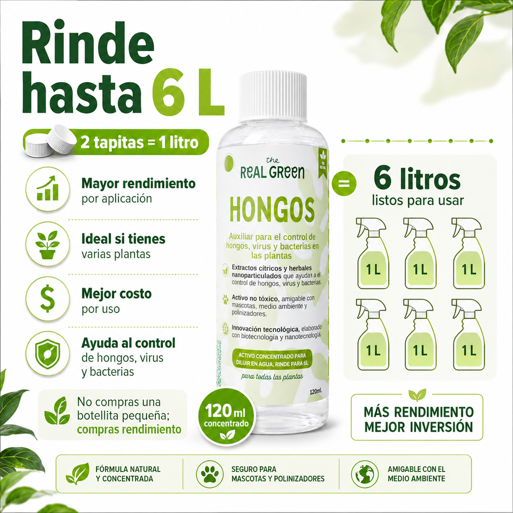 Auxiliar para el control de hongos, virus y bacterias