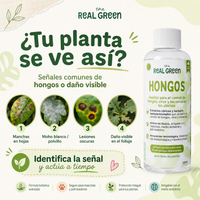 Auxiliar para el control de hongos, virus y bacterias