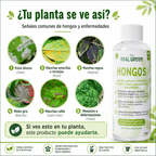 Auxiliar para el control de hongos, virus y bacterias