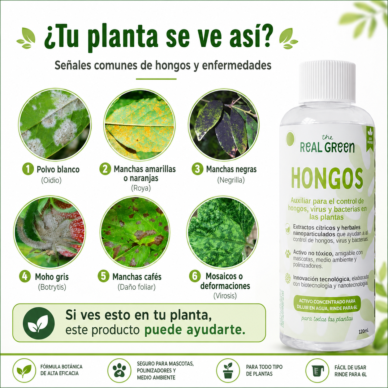 Auxiliar para el control de hongos, virus y bacterias