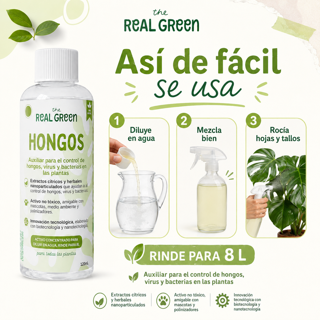 Auxiliar para el control de hongos, virus y bacterias