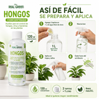 Auxiliar para el control de hongos, virus y bacterias