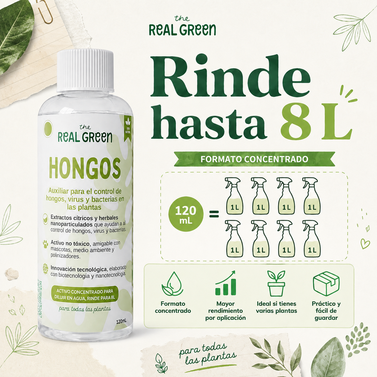 Auxiliar para el control de hongos, virus y bacterias
