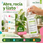 Auxiliar para el control de hongos, virus y bacterias