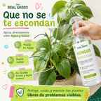 Auxiliar para el control de hongos, virus y bacterias