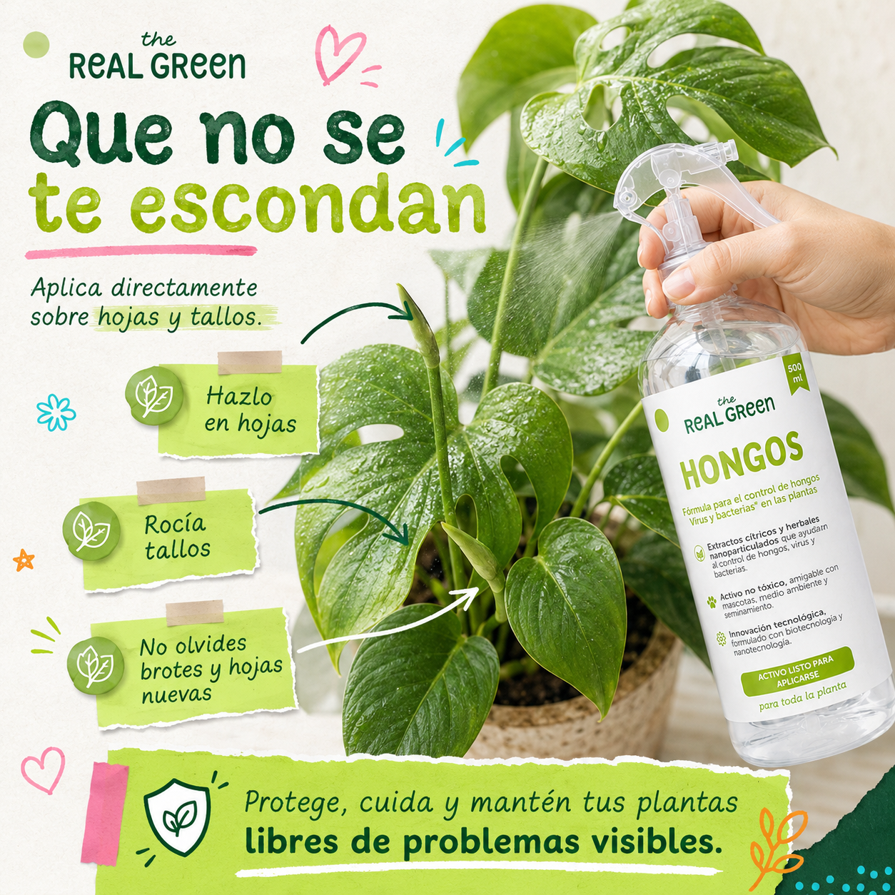 Auxiliar para el control de hongos, virus y bacterias