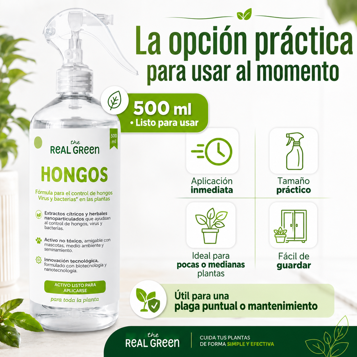 Auxiliar para el control de hongos, virus y bacterias
